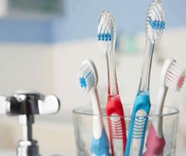 Can Germs Live on my Toothbrush?